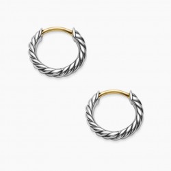 David Earrings