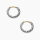 David Earrings