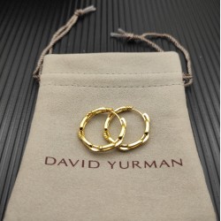 David Earrings