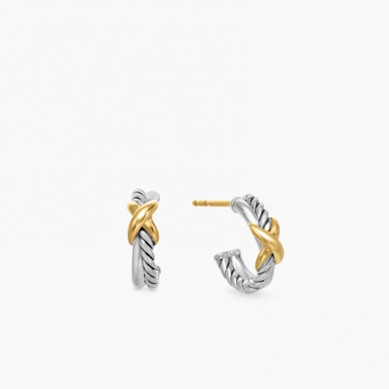 David Earrings