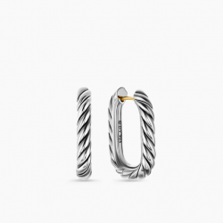 David Earrings