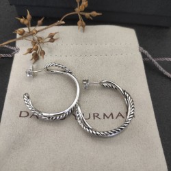 David Earrings