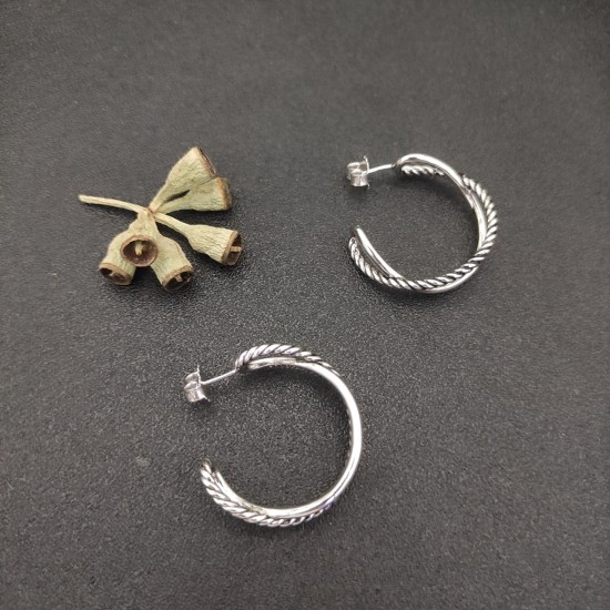 David Earrings