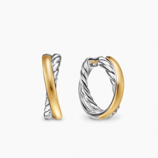 David Earrings