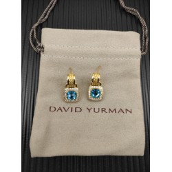 David Earrings
