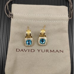 David Earrings