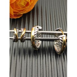 David Earrings