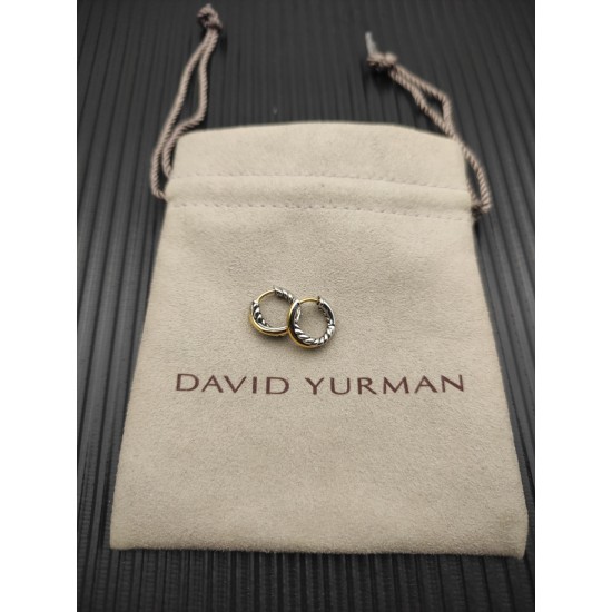 David Earrings