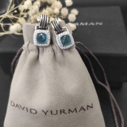 David Earrings
