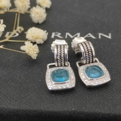 David Earrings
