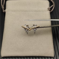 David Earrings