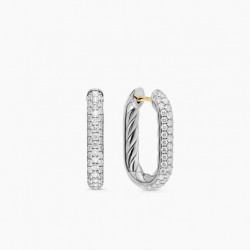 David Earrings