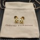 David Earrings