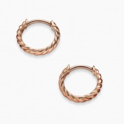 David Earrings