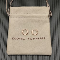 David Earrings