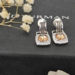 David Earrings