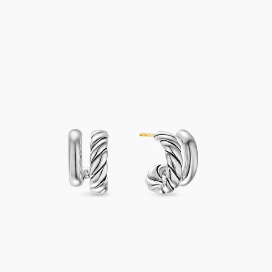 David Earrings