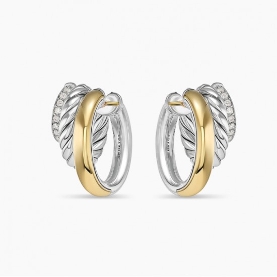 David Earrings