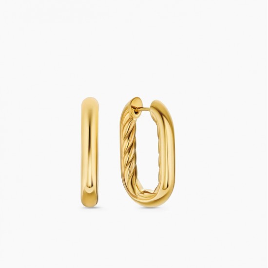 David Earrings