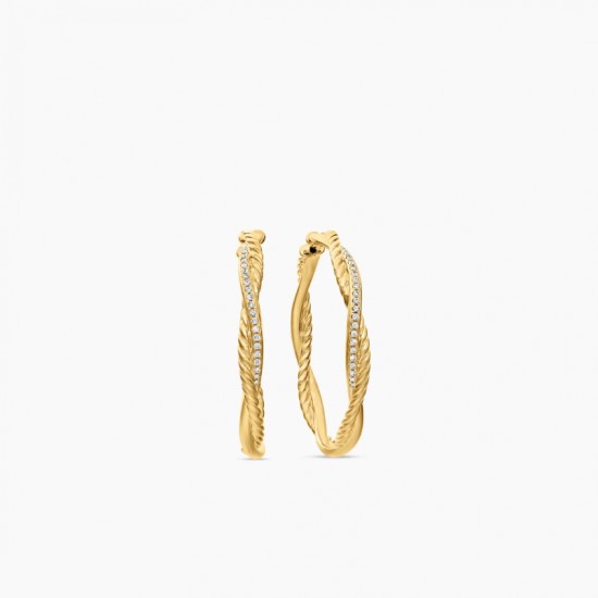David Earrings