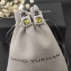 David Earrings