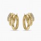 David Earrings