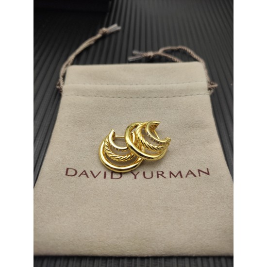 David Earrings