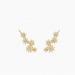 David Earrings