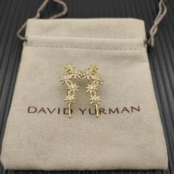 David Earrings