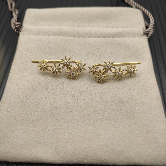 David Earrings