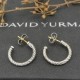 David Earrings