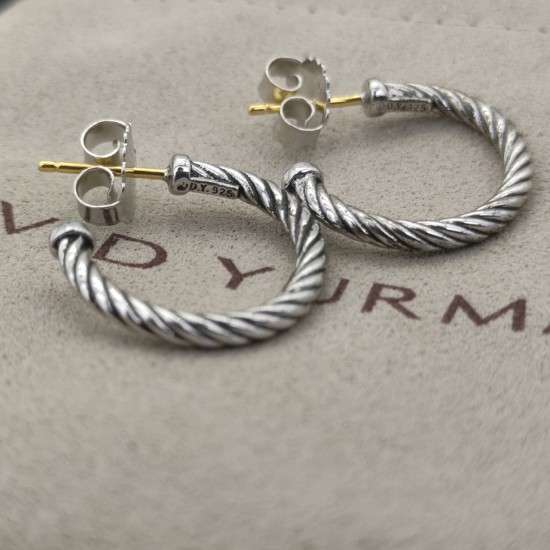 David Earrings