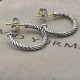 David Earrings