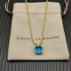 David Necklace