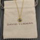 David Necklace