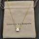 David Necklace
