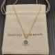 David Necklace