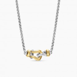 David Necklace