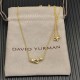 David Necklace