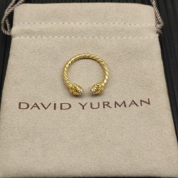 David Ring