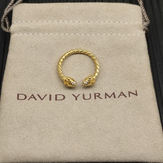 David Ring