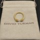 David Ring