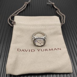 David Ring