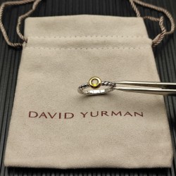 David Ring