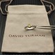 David Ring