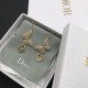 Dior Earrings