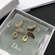 Dior Earrings
