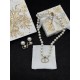 Dior Earrings