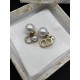 Dior Earrings