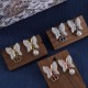 Dior Earrings